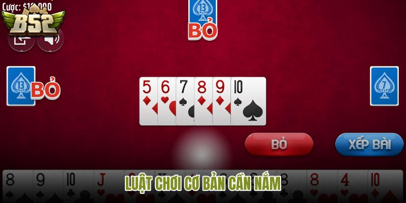 luat-choi-co-ban-can-nam