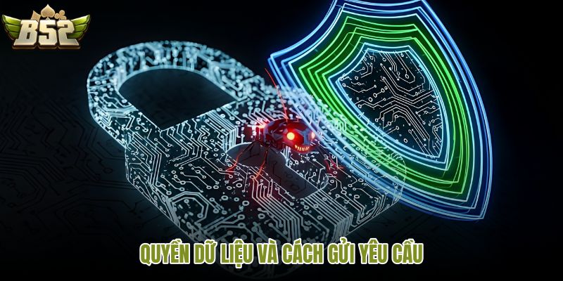 quyen-du-lieu-va-cach-gui-yeu-cau